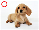 �ȒP�ȍ\�}�̎ʐ^